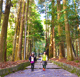 狭野神社の杉並を歩く人の写真